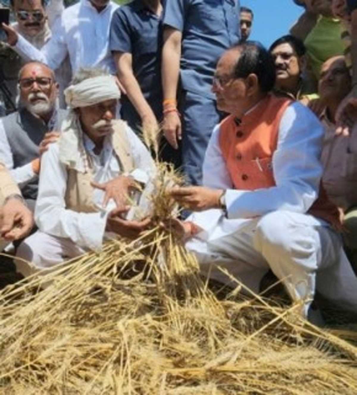 मध्यप्रदेश में फसल की बबार्दी बन रही सियासी मुद्दा